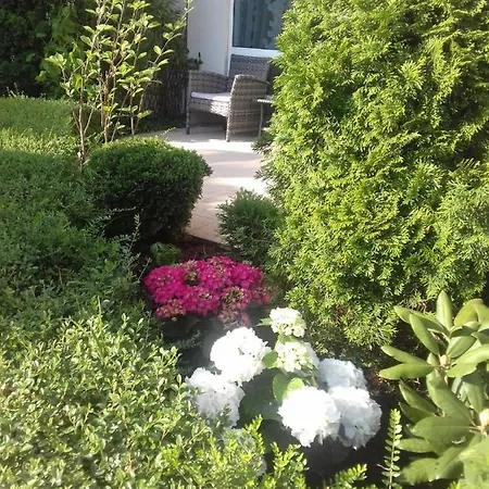 With Terrace Burgas
