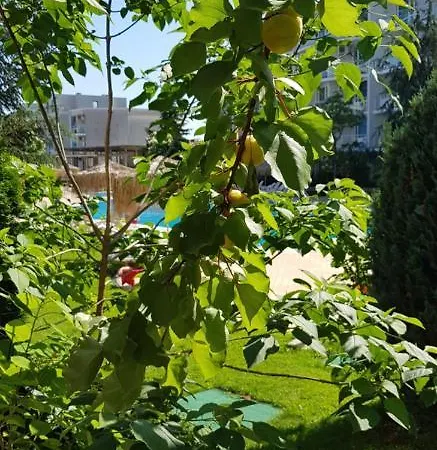 With Terrace * Burgas City