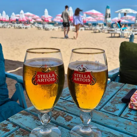 With Terrace Lejlighed *