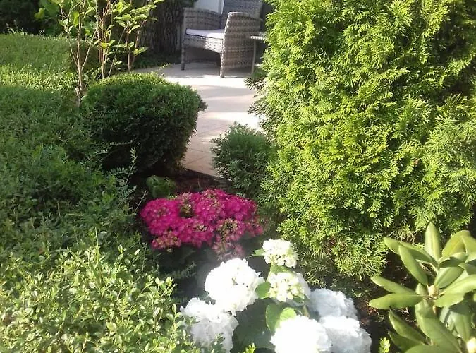 With Terrace Бургас