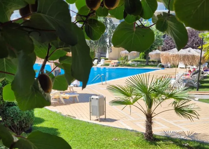 With Terrace * בורגאס